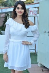 Surbhi at Okka Kshanam Movie Success Celebrations